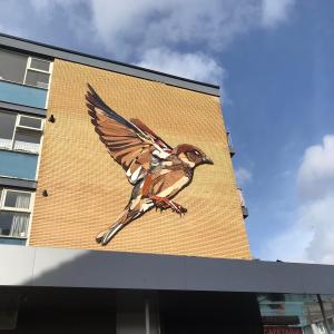 artikel overzicht afbeelding